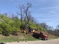 Land Clearing